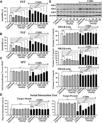 The Selective SIK2 Inhibitor ARN-3236 Produces Strong Antidepressant-Like Efficacy in Mice via the Hippocampal CRTC1-CREB-BDNF Pathway